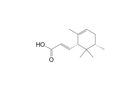 (E)-3-[(1R,5S)-2,5,6,6-tetramethyl-1-cyclohex-2-enyl]-2-propenoic acid