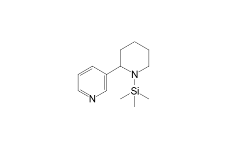 anabasine, 1TMS