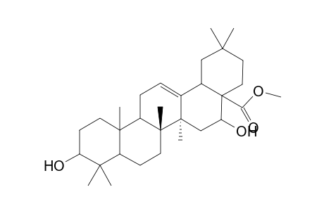 Methyl echinocystate