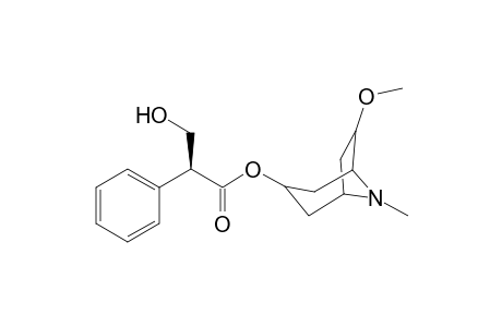 6-0-Methylanisodamine