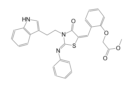 methyl (2-{(E)-[(2Z)-3-[2-(1H-indol-3-yl)ethyl]-4-oxo-2-(phenylimino)-1,3-thiazolidin-5-ylidene]methyl}phenoxy)acetate