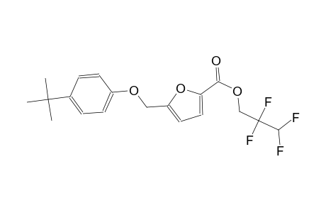 2,2,3,3-tetrafluoropropyl 5-[(4-tert-butylphenoxy)methyl]-2-furoate