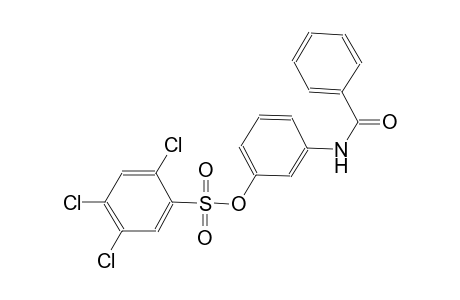 benzenesulfonic acid, 2,4,5-trichloro-, 3-(benzoylamino)phenyl ester