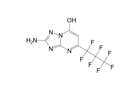 2-Amino-5-heptafluoropropyl-[1,2,4]triazolo[1,5-a]pyrimidin-7-ol