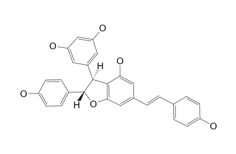 GNETIN-C