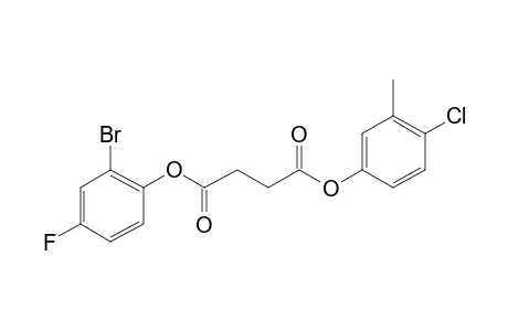 Succinic acid, 4-chloro-3-methylphenyl 2-bromo-4-fluorophenyl ester