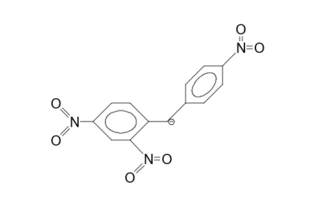 (2,4,4'-Trinitro-diphenyl)-methyl anion
