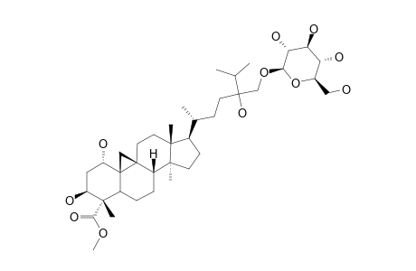 31-O-BETA-D-GLUCOPYRANOSYL-CYClOTRICUSPIDOGENIN-A-METHYLESTER