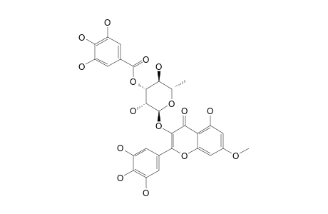MYRICETIN-3-O-(3''-O-GALLOYL)-ALPHA-RHAMNOPYRANOSIDE-7-METHYLETHER