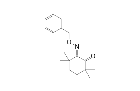 (Z)-6-BENZYLOXYIMINO-2,2,5,5-TETRAMETHYLCYCLOHEXANONE