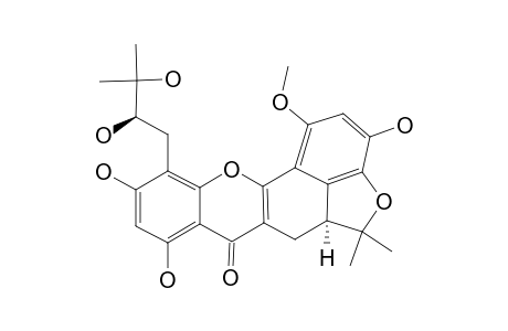 CYCLOARTELASTOXANTHENDIOL;5,5A,6-TRIHYDRO-1,3,8-TRIHYDROXY-1-METHOXY-11-(2',3'-DIHYDROXY-3'-METHYL-1-BUTANYL)-5,5-DIMETHYLBENZOFURO-[3.3A.4:AB]-XAN