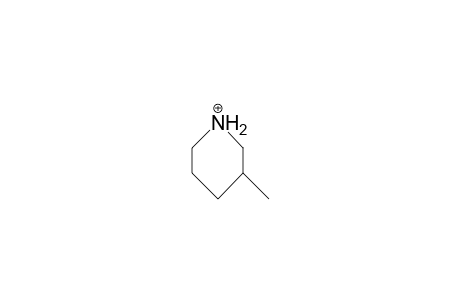 3-Methyl-piperidinium-cation