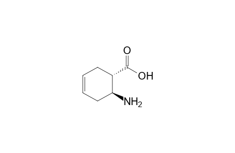 trans-6-aminocyclohex-3-ene-1-carboxylic acid