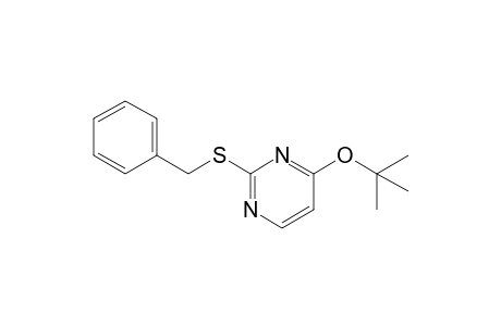 2-(benzylthio)-4-tert-butoxy-pyrimidine
