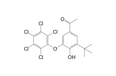 3'-tert-butyl-4'-hydroxy-5'-(pentachlorophenoxy)acetophenone