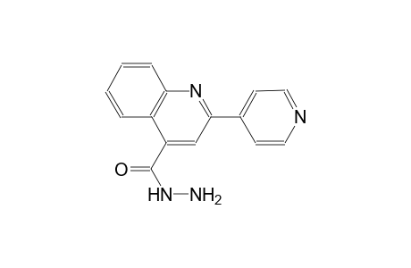 2-(4-pyridinyl)-4-quinolinecarbohydrazide