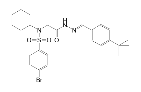 4-bromo-N-{2-[(2E)-2-(4-tert-butylbenzylidene)hydrazino]-2-oxoethyl}-N-cyclohexylbenzenesulfonamide
