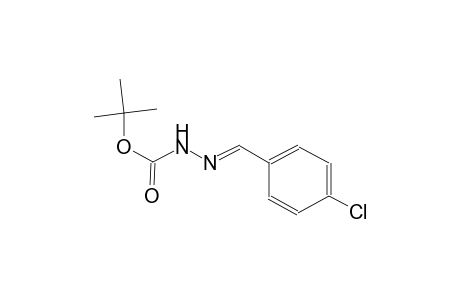 benzene, 1-chloro-4-[(E)-[[(1,1-dimethylethoxy)carbonyl]hydrazono]methyl]-