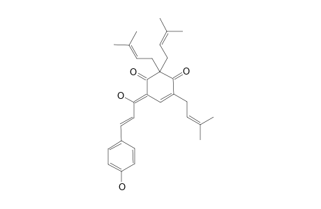 MUNCHIWARIN;4-[3-(4-HYDROXYPHENYL)-PROPA-1,3-DIEN-1-YLIDENE)-2,2,6-TRIISOPRENYL-CYClOHEX-5-ENE-1,3-DIONE