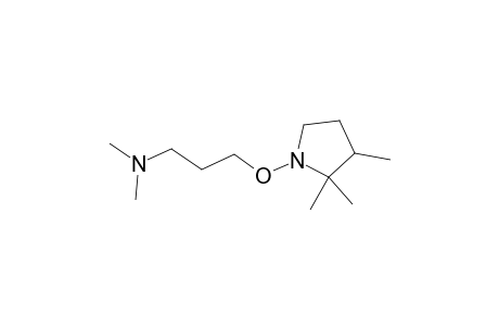1-Propanamine, N,N-dimethyl-3-[(2,2,3-trimethyl-1-pyrrolidinyl)oxy]-