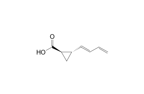 Cyclopropanecarboxylic acid, 2-(1,3-butadienyl)-, [1.alpha.,2.beta.(E)]-