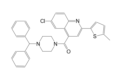 4-[(4-benzhydryl-1-piperazinyl)carbonyl]-6-chloro-2-(5-methyl-2-thienyl)quinoline