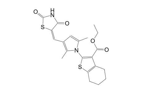 ethyl 2-{3-[(E)-(2,4-dioxo-1,3-thiazolidin-5-ylidene)methyl]-2,5-dimethyl-1H-pyrrol-1-yl}-4,5,6,7-tetrahydro-1-benzothiophene-3-carboxylate