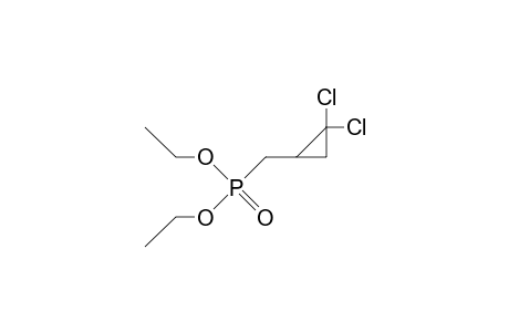 (2,2-Dichloro-cyclopropylmethyl)-phosphonic acid, diethyl ester