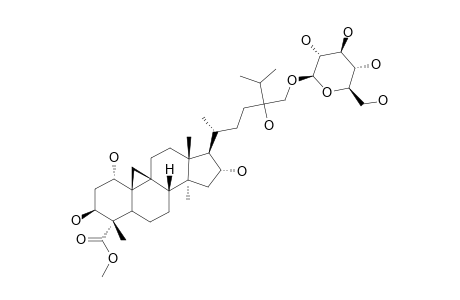 31-O-BETA-D-GLUCOPYRANOSYL-CYClOTRICUSPIDOGENIN-C-METHYLESTER