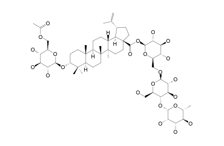 3-EPI-BETULINIC-ACID-3-O-BETA-D-6'-ACETYLGLUCOPYRANOSIDE-28-[ALPHA-L-RHAMNOPYRANOSYL-(1->4)-O-BETA-D-GLUCOPYRANOSYL-(1->6)]-BETA-D-GLUCOPYRANOSIDE