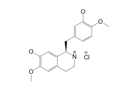 (S)-[1-(13)C]-NORRETICULINE-HYDROCHLORIDE