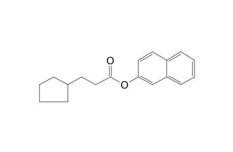 3-Cyclopentylpropionic acid, 2-naphthyl ester