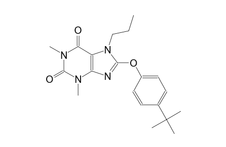 8-(4-tert-butylphenoxy)-1,3-dimethyl-7-propyl-3,7-dihydro-1H-purine-2,6-dione