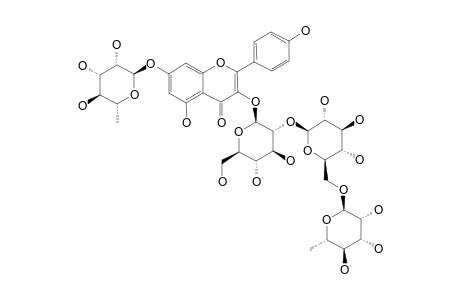 KAEMPFEROL-3-O-ALPHA-RHAMNOPYRANOSYL-(1->6)-BETA-GLUCOPYRANOSYL-(1->2)-BETA-GLUCOPYRANOSYL-7-O-ALPHA-RHAMNOPYRANOSIDE