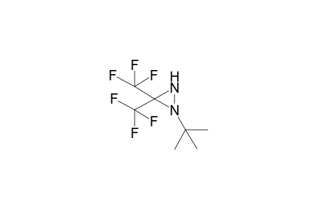 1-tert-Butyl-3,3-bis(trifluoromethyl)diaziridine