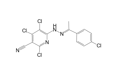 2,4,5-trichloro-6-[(2E)-2-[1-(4-chlorophenyl)ethylidene]hydrazino]pyridine-3-carbonitrile