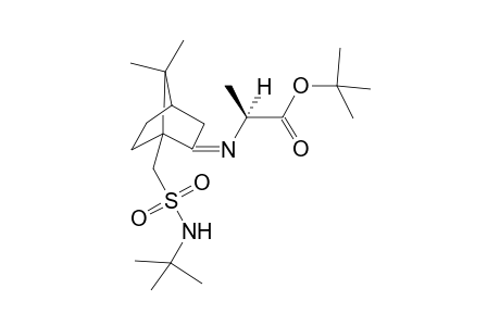 (S)-N-tert-Butyl-{[2-(1-(tert-butyloxycarbonyl)ethyl-imino)-7,7-dimethylcyclo[2.2.1]heptyl-1-yl]methyl}sulfonamide