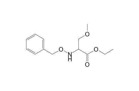 3-Methoxy-2-(phenylmethoxyamino)propanoic acid ethyl ester