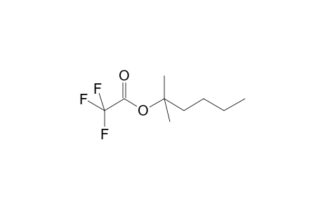 2-Methylhexan-2-yl trifluoroacetate