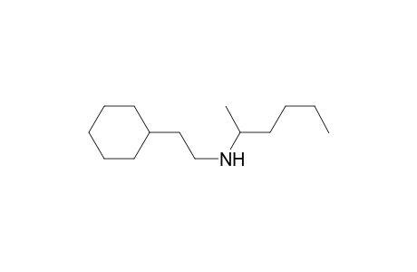 (2-Cyclohexyl-ethyl)-(1-methyl-pentyl)-amine