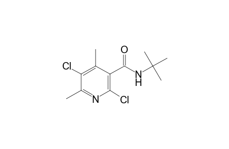 N-(tert-butyl)-2,5-dichloro-4,6-dimethylnicotinamide
