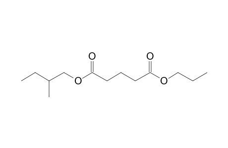 Glutaric acid, 2-methylbutyl propyl ester