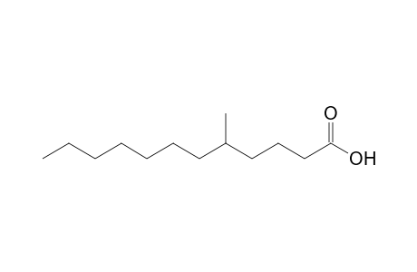 5-Methyldodecanoic acid