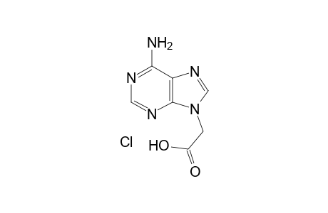 (6-amino-9H-purin-9-yl)acetic acid hydrochloride