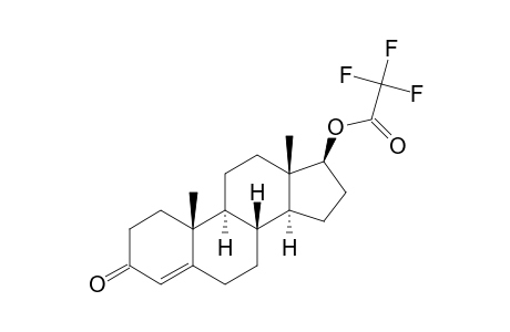 Testosterone, trifluoroacetate