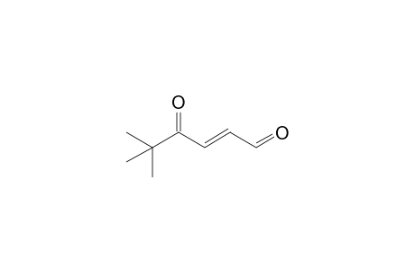 (E)-5,5-Dimethyl-4-oxo-2-hexenal