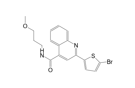 4-quinolinecarboxamide, 2-(5-bromo-2-thienyl)-N-(3-methoxypropyl)-