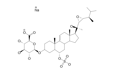 DOWNEYOSIDE-E;3-BETA-O-(BETA-D-GLUCURONOPYRANOSYL)-(20R,22S,23S,24S)-22,23-EPOXY-20-HYDROXY-24-METHYL-5-ALPHA-CHOLEST-9(11)-EN-6-ALPHA-YL-SULFATE