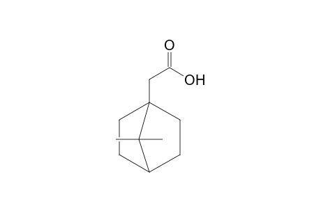 7,7-dimethyl-1-norbornaneacetic acid
