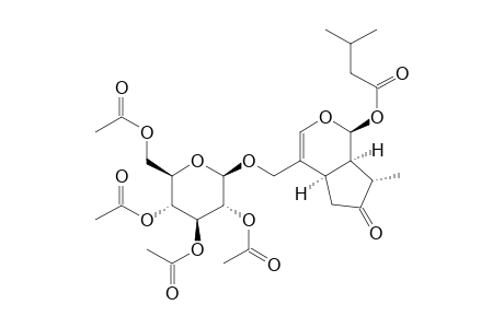 Butanoic acid, 3-methyl-, 1,4a,5,6,7,7a-hexahydro-7-methyl-6-oxo-4-[[(2,3,4,6-tetra-O-acetyl-.beta.-D-glucopyranosyl)oxy]methyl]cyclope nta[c]pyran-1-yl ester, [1S-(1.alpha.,4a.alpha.,7.alpha.,7a.alpha.)]-